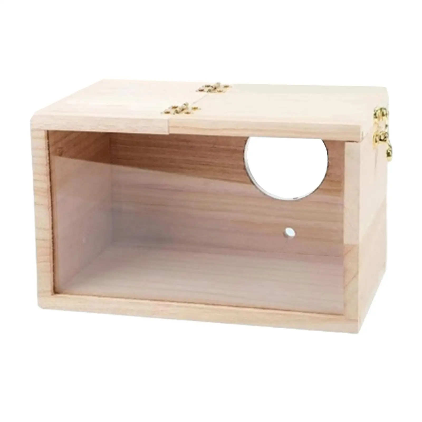 Nido con ventana para periquitos y agapornis – Caja de cría decorativa - imagen 3