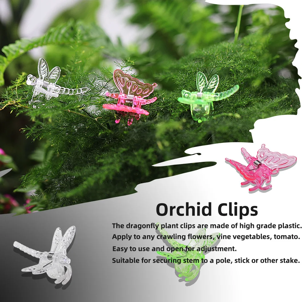 3 Kinds of Orchid Clip Plastic Garden Plant Dragonfly Butterfly Clamps for Support Flower Vine Decoration Ornamental Clips Mixed