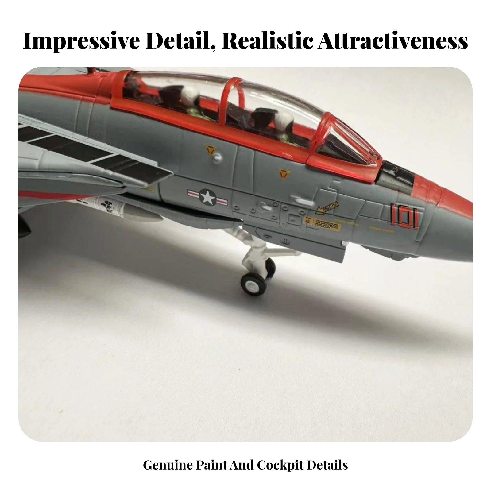 F-14 Display Model Detailed Finish 1:100 F-14 Model