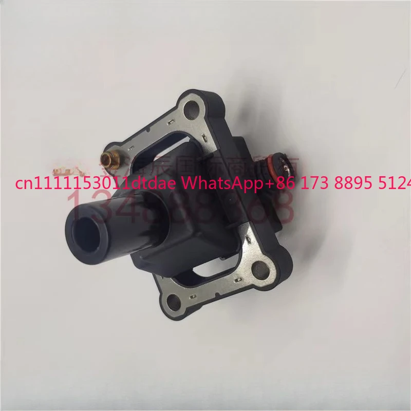 Bobine d'allumage haute tension Shuanglong Leicester Wood Soy Tanner, pack simple, 1621580103