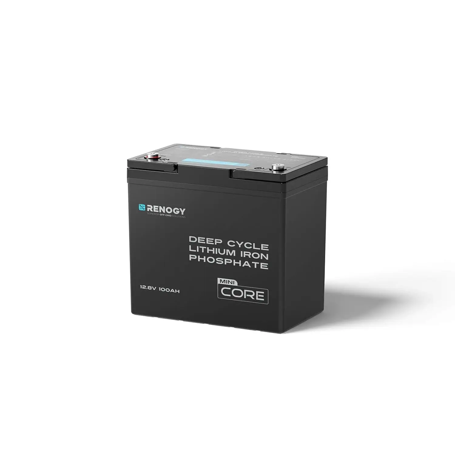 

12V 100Ah LiFePO4 Lithium Battery Mini 100A BMS Deep Cycle Remote Monitor RV Cabin Marine Off-Grid, Customized