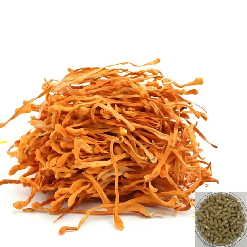 Organic Cordyceps Sinensis Mushroom Capsules Immune Booster Supplement