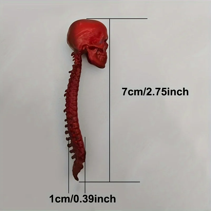 Collection 1/12 Scale PVC Human Skeleton Skull with Vertebra Model for 6in Action Figure Scene Accessory Toy