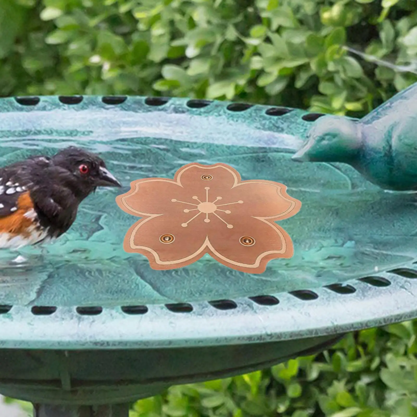 Cleaning Disk Copper Purification Cleaner Triple-Point Support Copper Bird Bath With Triple-Point Support All-Season Birdbath