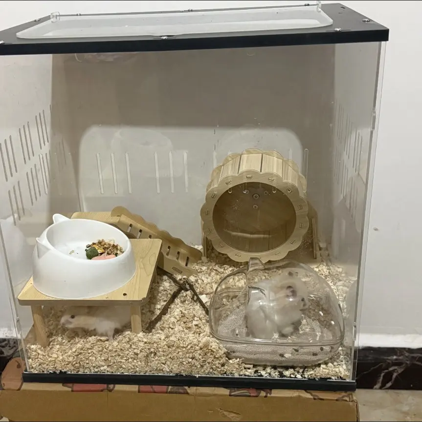Acrylic climbing pet feeding box Lizard spider chameleon feeding box Reptile tank Transparent panoramic with lid