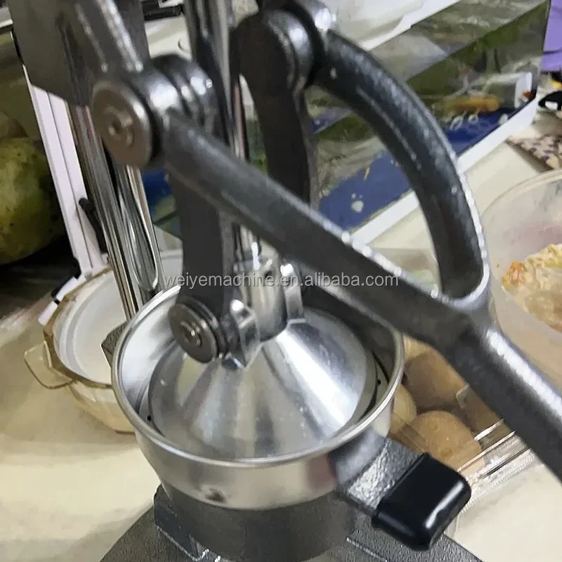 Commercial Juicer Cast Iron Support Pole Hand Press Orange Squeezer Fruit Vegetable Tool Home
