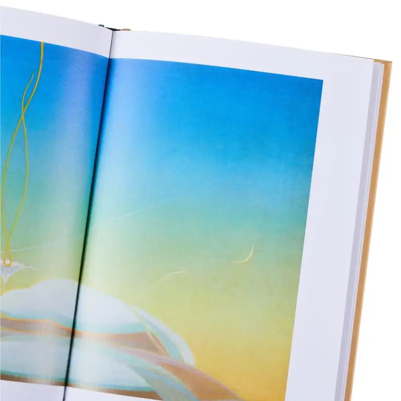 アグネス・ペルトン・ギルバート・ヴィカリオ・ヒルマー 9783777439297 本