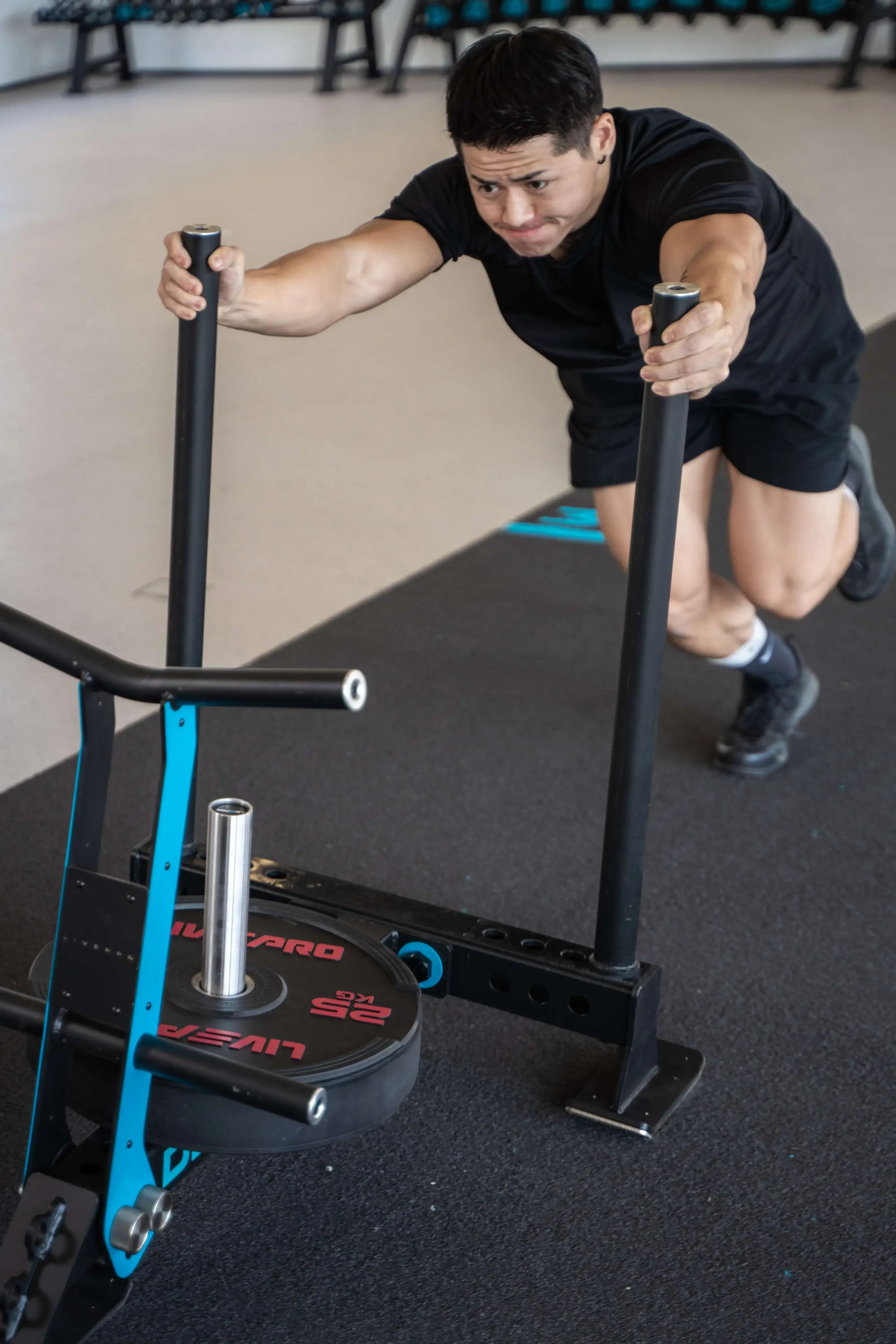 

LIVEPRO Hot Sale Gym Equipment Fitness Exercise Pull Push Sled Power Weight Training Sled