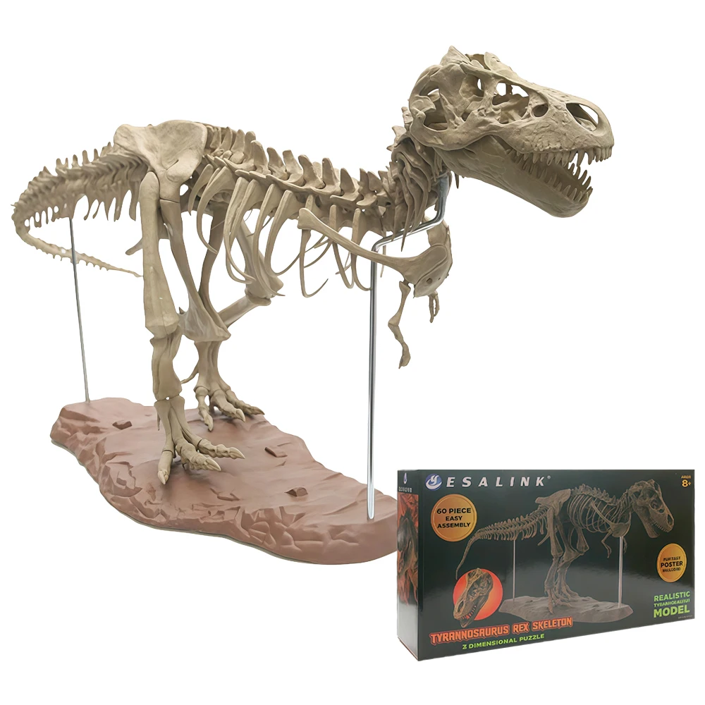 70 cm DIY-Dinosaurier-Skelett-Modellbausatz – zusammengebautes T-Rex-fossiliertes Spielzeug, Jurassic Park-Simulation, perfektes Geschenk für Jungen