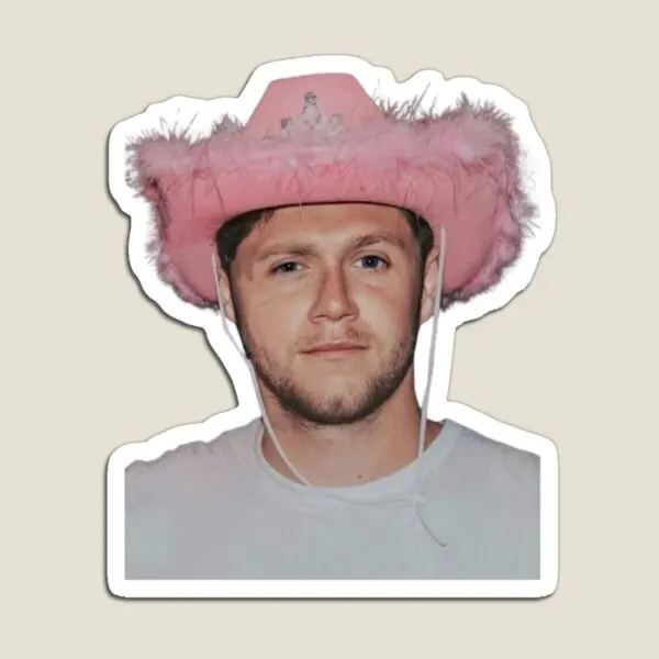 Niall Horan Pink Cowboy Hat  Magnet Toy Kids Home Children Colorful Refrigerator for Fridge Organizer Stickers Baby  Funny Decor