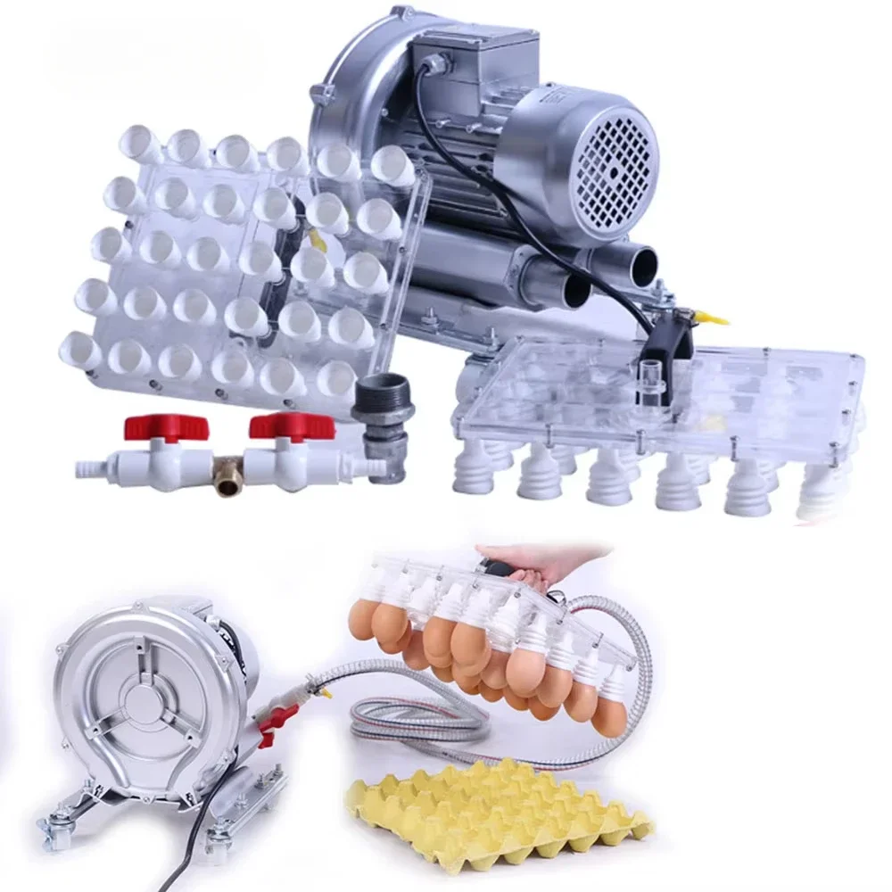 

Комплект подъемной головки на 30 яиц, ручной вакуумный подъемник для яиц с всасыванием для эффективной автоматической машины для подачи яиц с лотком