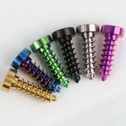 1 PC Various Color M6x16/20/25/30mm GR5 Titanium Alloy Self-tapping T30 Torx Cap Head Self-tapping Screw For Motorcycle Case DIY