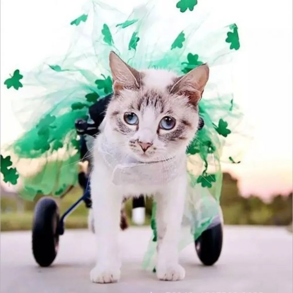 Adjustable Cat Wheelchair Lightweight Breathable Harness Pet Wheelchair 2-Wheel Sturdy Rehabilitation Assist Car Disabled Pets