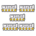 5pcs