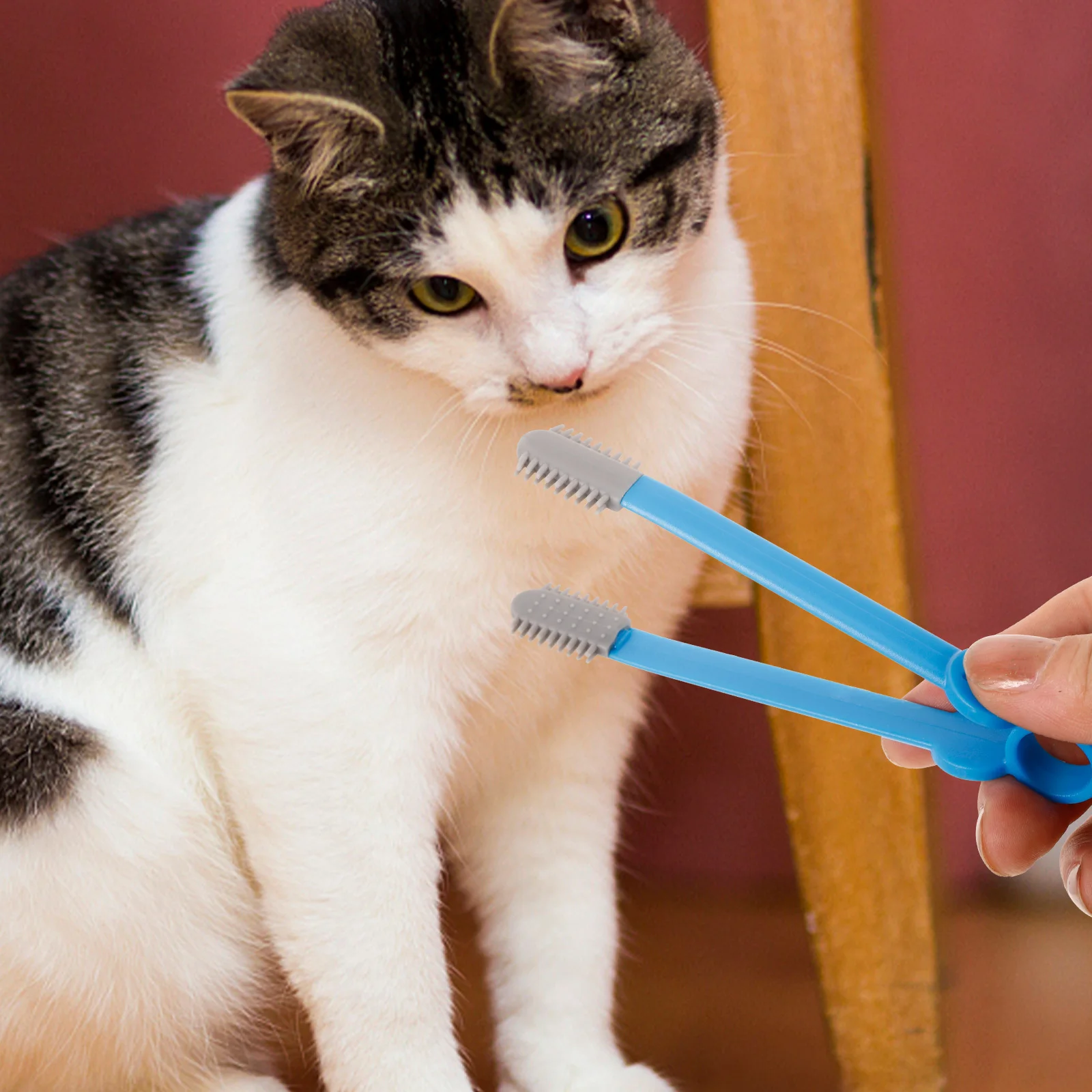 

Cat Dog Tear Brush Silicone Small Kitten Eye Comb Portable Pet Ear Wax Cleaner Grooming Brush Dog Tear Comb Pet Supply
