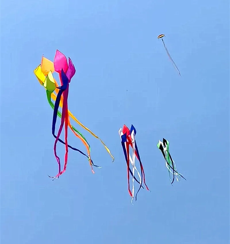 무료 배송 600cm 무지개 연, 윈드삭 연, 대형 연, 성인용 연, 릴, 립스탑 나일론 연, 바람 연, 박쥐 연, 꼬리 연