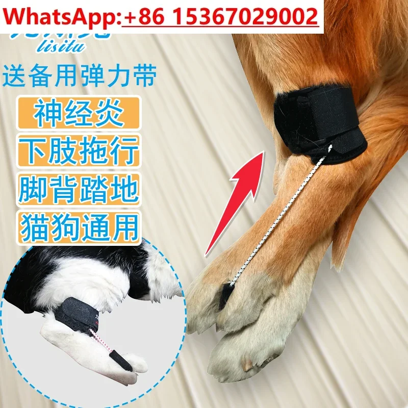 

Pet cat dog hind leg assist belt disabled mopping grinding leg dragging weakness neuroarthritis fracture injury