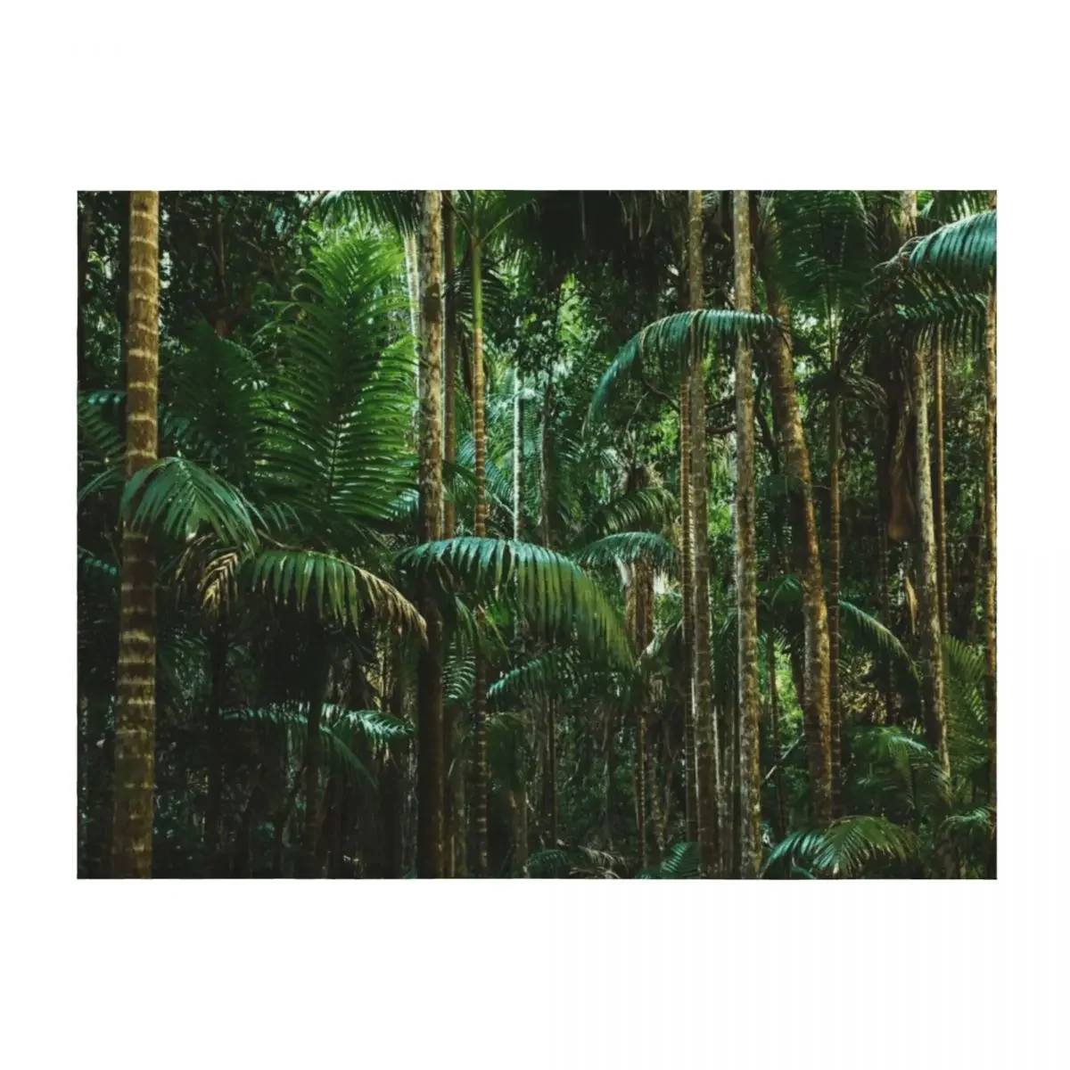 

Tropical forest Throw Blanket Kid'S Luxury Thicken Furry Sleeping Bag Blankets