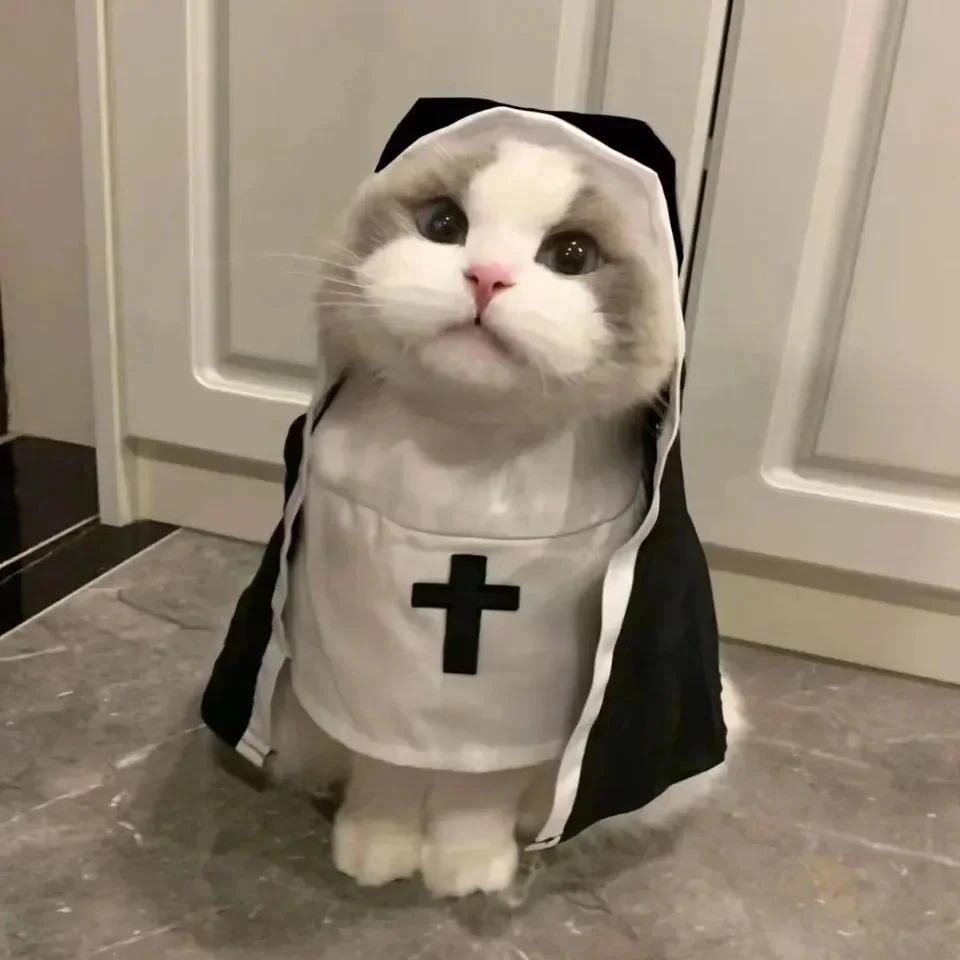 Pet Cat Dog Nun Cloak Halloween Costumes Cosplay Dress Kawaii Pet Clothe Cat Kitten Puppy Funny Accessoties Gift Dog Cat Supplie