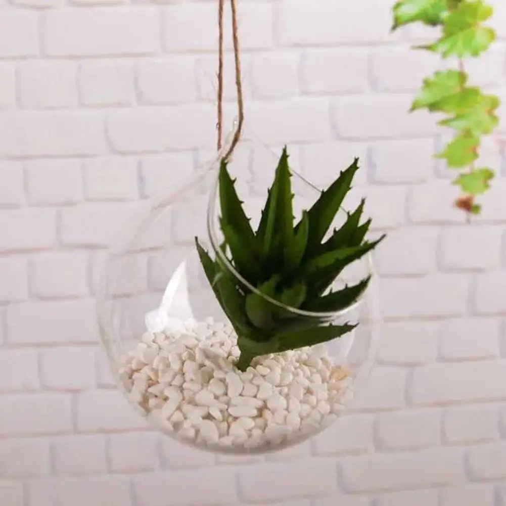 Hanging Glass Propagation Station Clear Terrarium Planter for Flowers Air Hydroponic Plants Small Indoor Flower Vase Home Decor