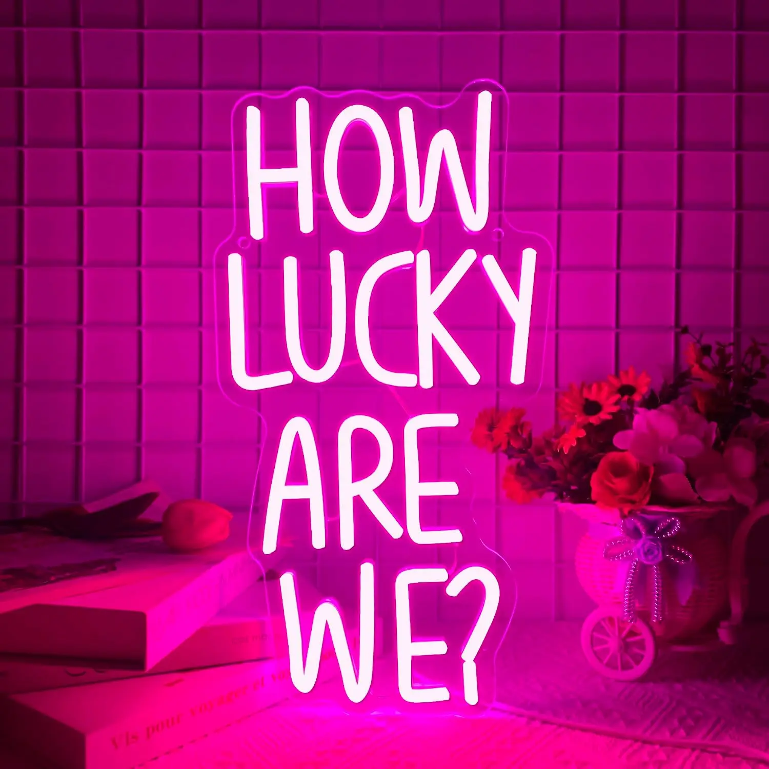 How Lucky Are We Neon Sign LED Letter Wall Light, USB Powered Neon Lamp, Christmas Gift Bedroom Wedding Party Home Decoration