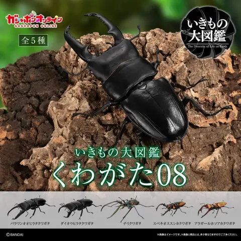 In Stock Bandai Original Gashapon Toys Biology Encyclopedia Stag Beetle 08 Ornament Capsule Toys Cartoon Animal Model Gifts