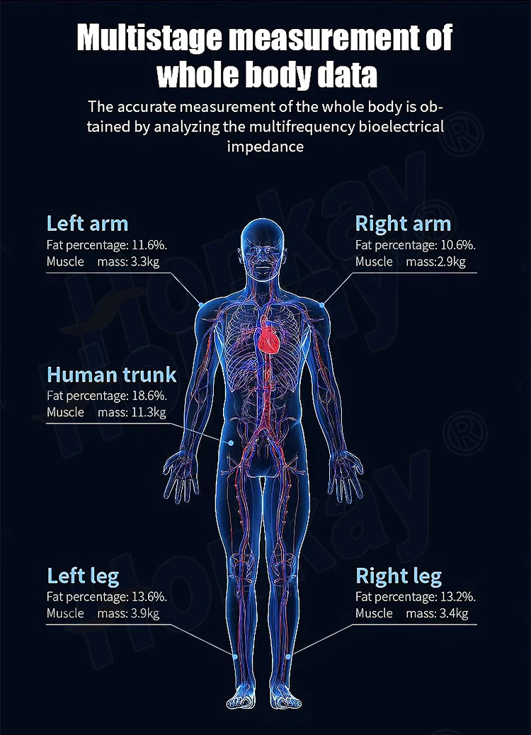 3d сканер тела для размера одежды, розничная торговля, человеческий Bmi Quantum Fat, 3d машина для анализа тела, компьютерное сканирование, измерения, сканирующая шкала