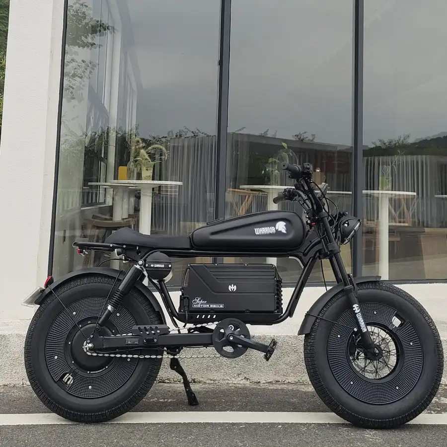 

Лидер продаж EBIKE, электрический мотор, велосипед с толстыми шинами, электрические велосипеды дальнего действия с задним двигателем-концентратором, источник питания с литиевой батареей