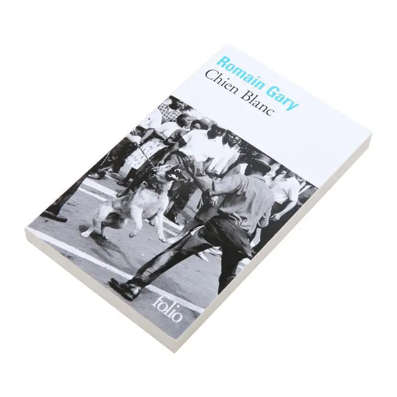 كتاب شين بلانك رومين غاري جاليمارد 9782070360505