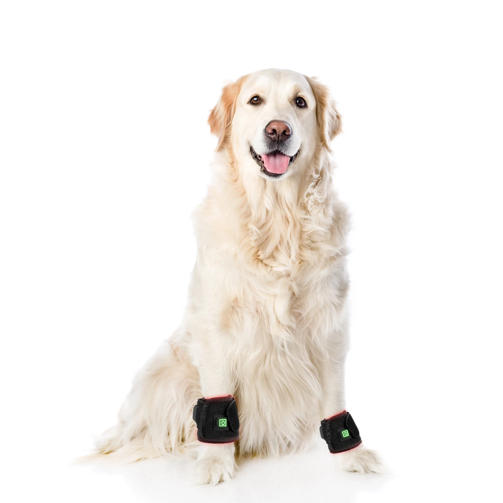 Pet Body Care Led Light Therapy Horse Belt Dog Wrap 660nm 850nm Led Light Therapy Wrap