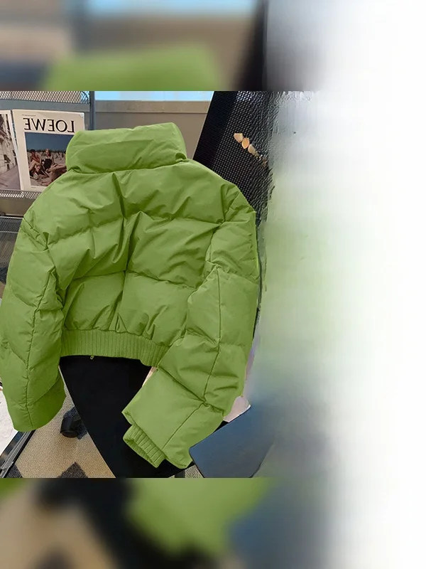 

Женская хлопковая куртка больших размеров, теплая, с воротником-стойкой, однотонная, весна-осень, новая модель, для повседневной носки, прямого кроя