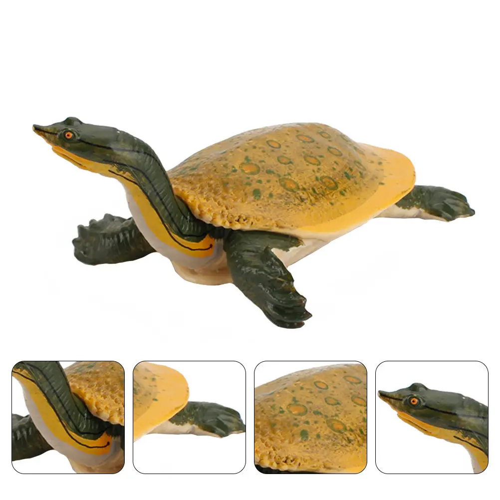 

1Pcs Simulation Turtle Creative Freshwater Animal Plaything Ornamental Decorative Turtle Learning Educational Nature Cognition