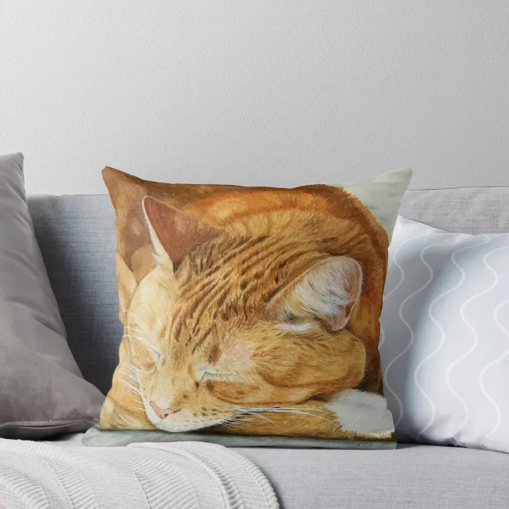 

Watercolor Ginger Cat ~ Cat Lover Gift Throw Pillow Decorative pillow case Decorative Sofa Cushions Sofa Cushions Cover pillow