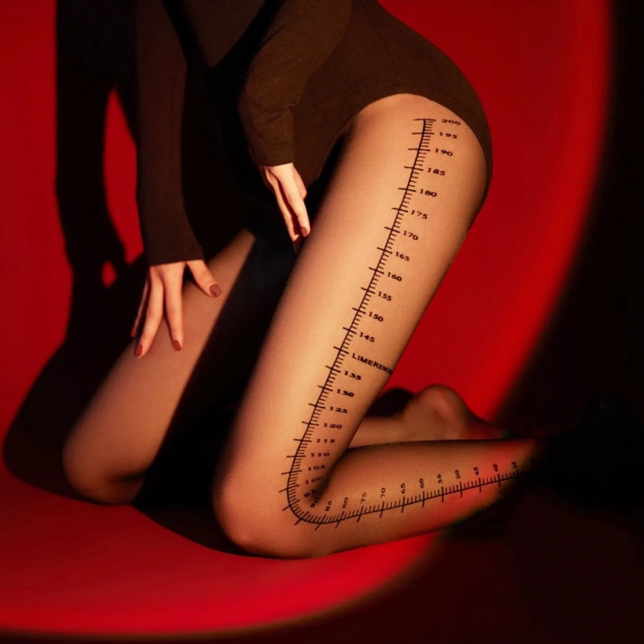 Measurement Marked Tights  20D Snag Proof  Cut to Fit Pantyhose  Figure Enhancing Sheer Stockings for Fall Spring
