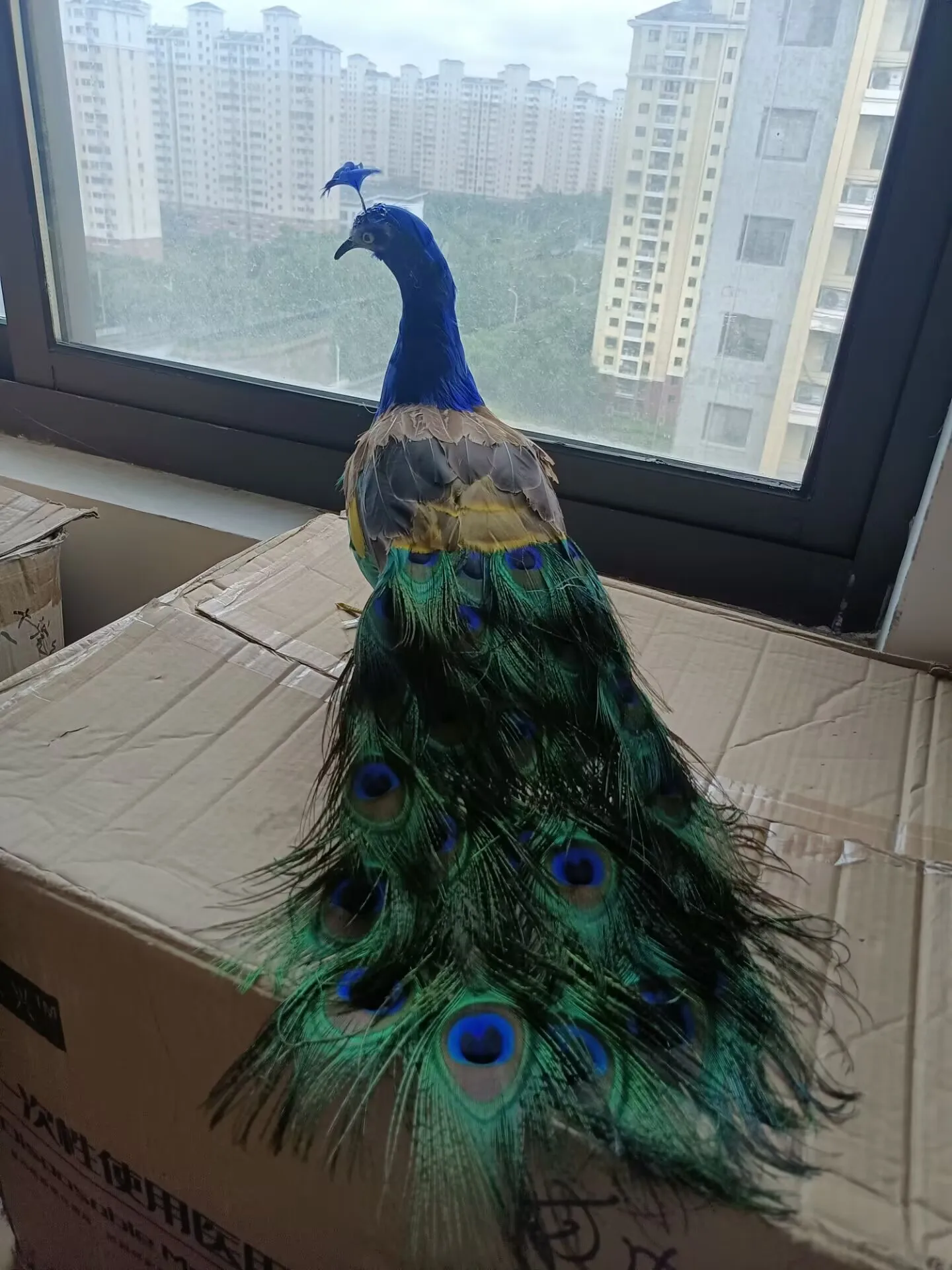 

simulation colorful peacock model foam&feather peacock bird gift about 50cm d0585