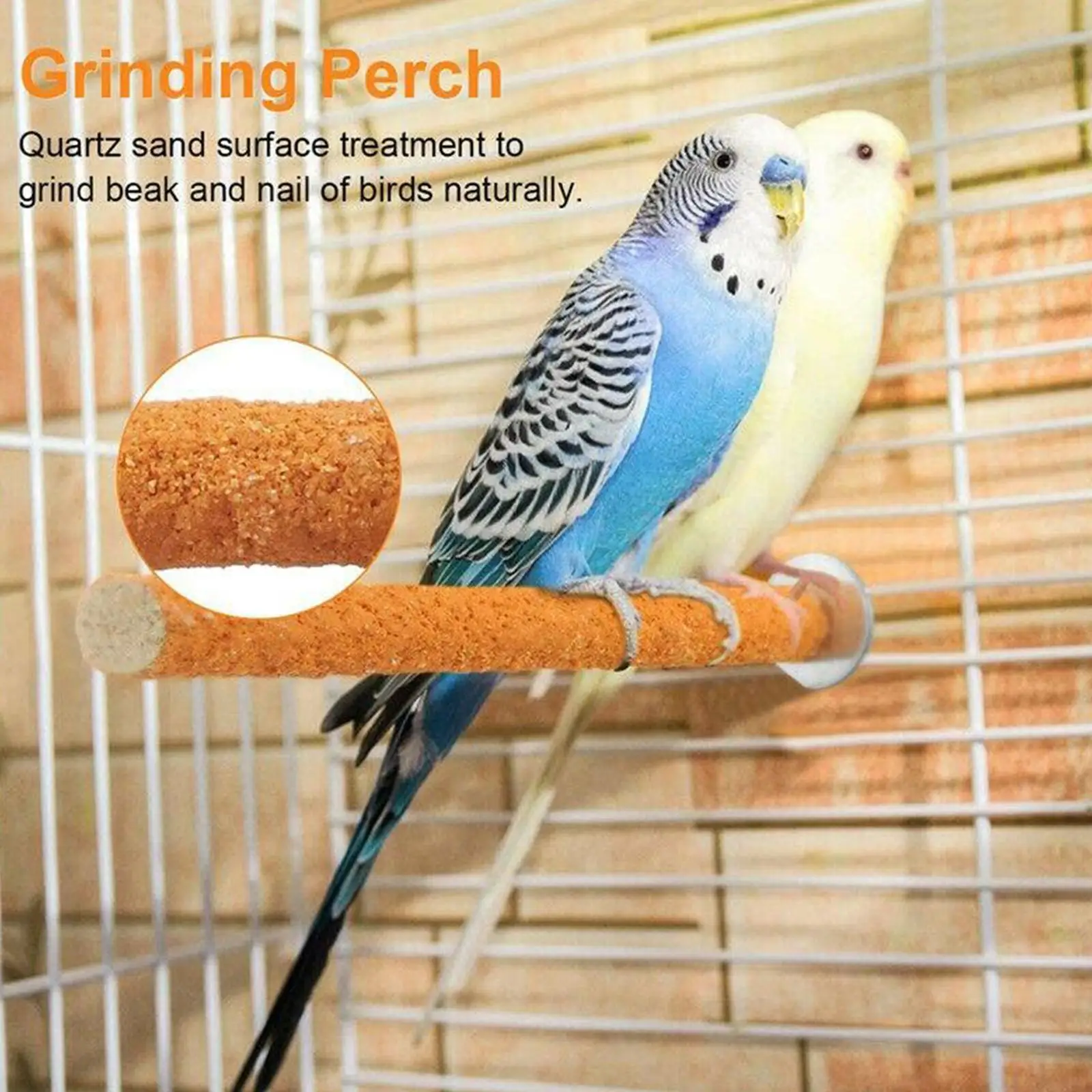 1pc Parrot Paw Grinding Perch Stand Pet Bird Quartz Toys Parrot Shelf Random Bird Chewing Perch Stand Branch Color Budgie D8G9