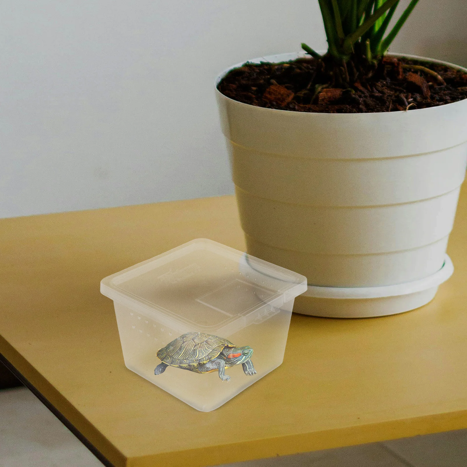 

10Pcs Reptile Terrariums Transparent Small Turtle Cage Portable Hatching Container Insect Breeding Box Lizard Aquarium Spider