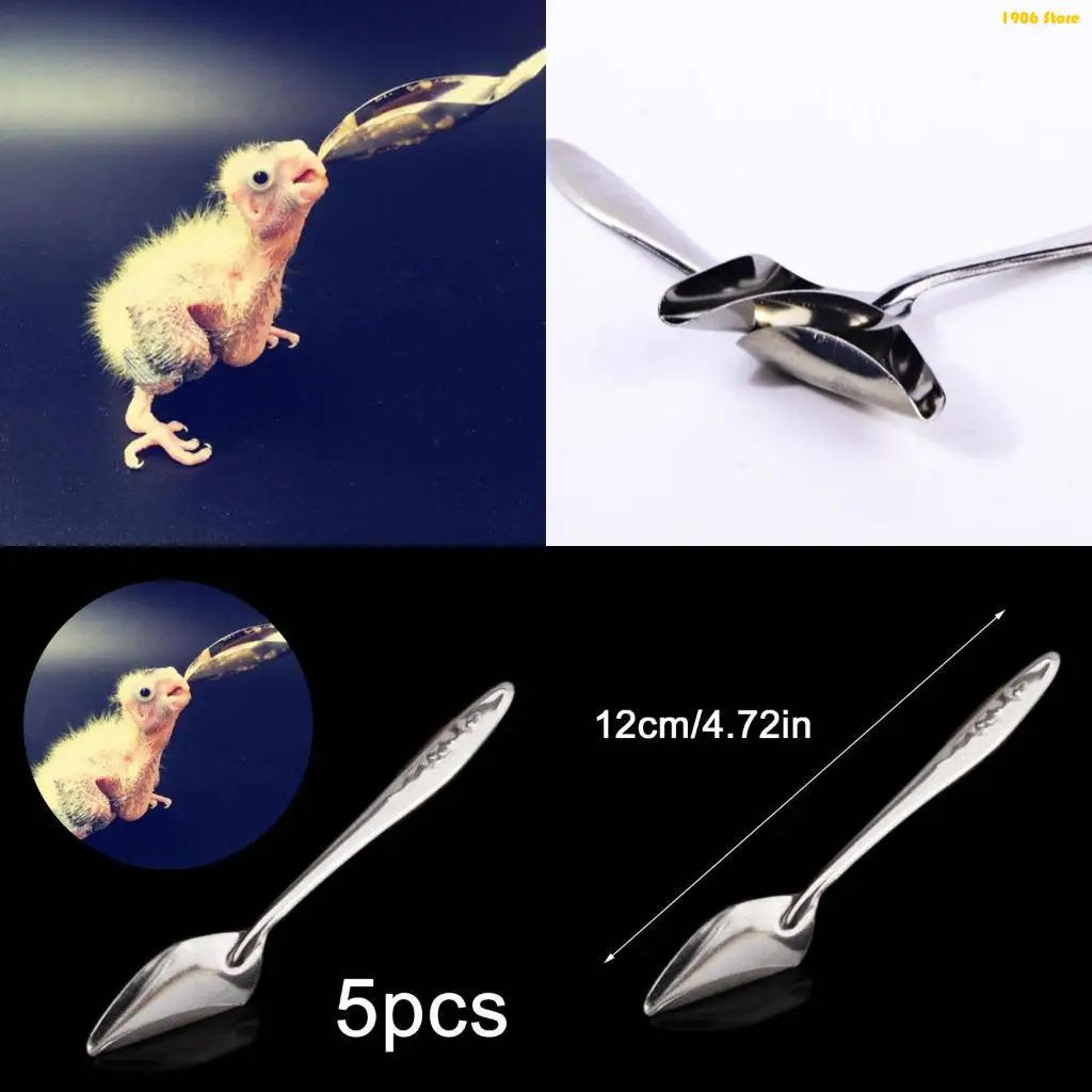 U1JB 5 Pieces Bird Manual Feeding Spoon Metal Feed for Food & Water Durable Stainless Steel Feeder for Small Parrots