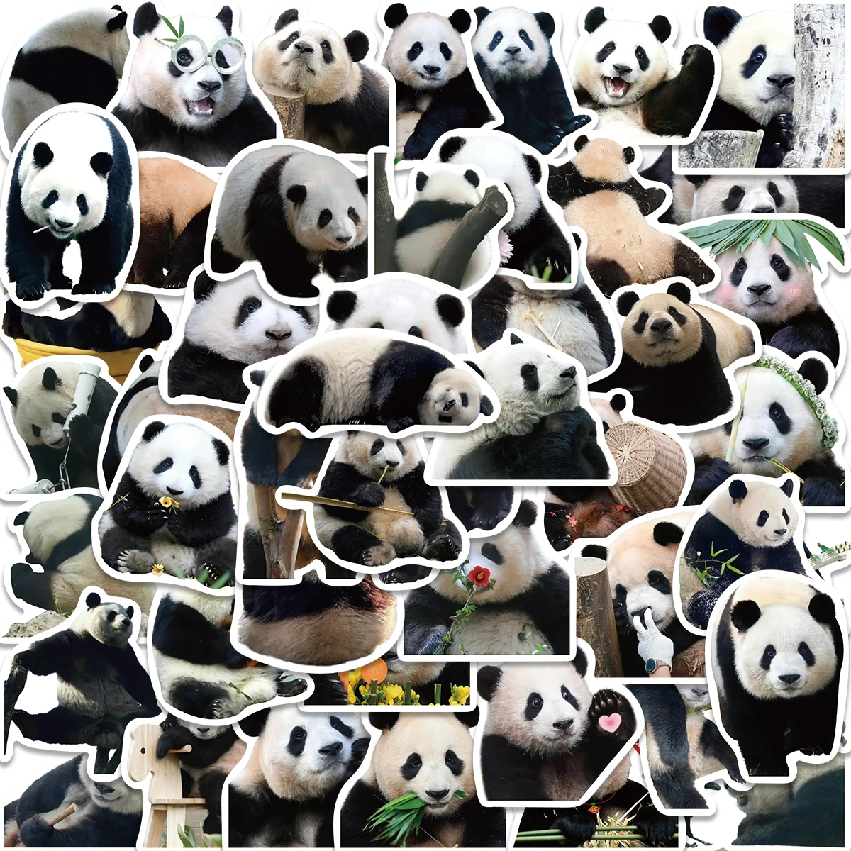 50PCS Cute Panda Cartoon Animals Graffiti Stickers DIY Phone Guitar Laptop Notebook Suitcase Cup Waterproof Sticker Kids Toy