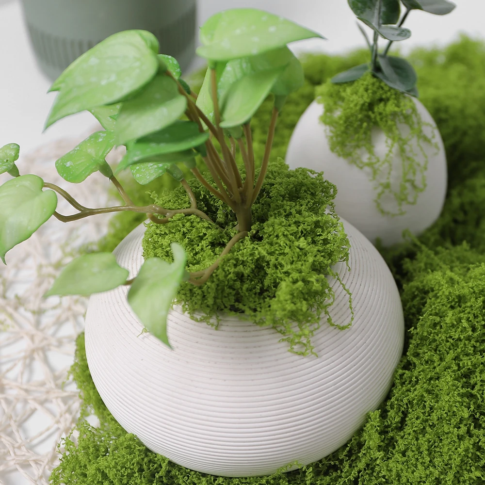 30/50/100G Grüne Künstliche Pflanzen Moos Gras für Home Room Decor Garten Dekoration Mini Landschaft Gefälschte blume Handwerk Ornament – Detail 11