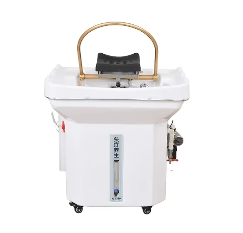 Plastic Luxury Shampoo Basin Chair Salon Furniture Spa Storage Bathtub Shower Head Contemporary Design for Bathroom & Hotel Use