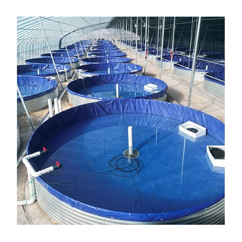 High Capacity Large Fish Tank Corrosion Resistance Tarpaulin Fish Pond Ras System For Fish Farming