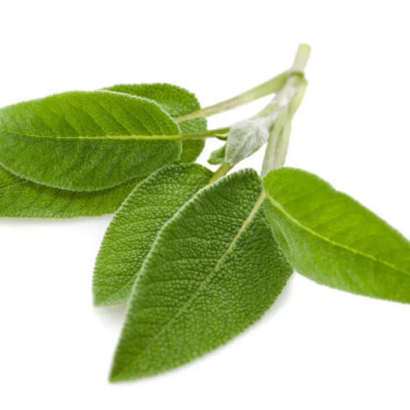 Armadura de chasis de Metal para HAIBOXING HBX 3100A 3101A 3103A 1/16 RC, piezas de mejora de coche, accesorios