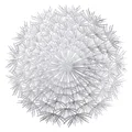 Sliver