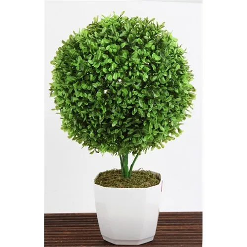 Mary Case Plug Ball Boxwood K39b2 Green