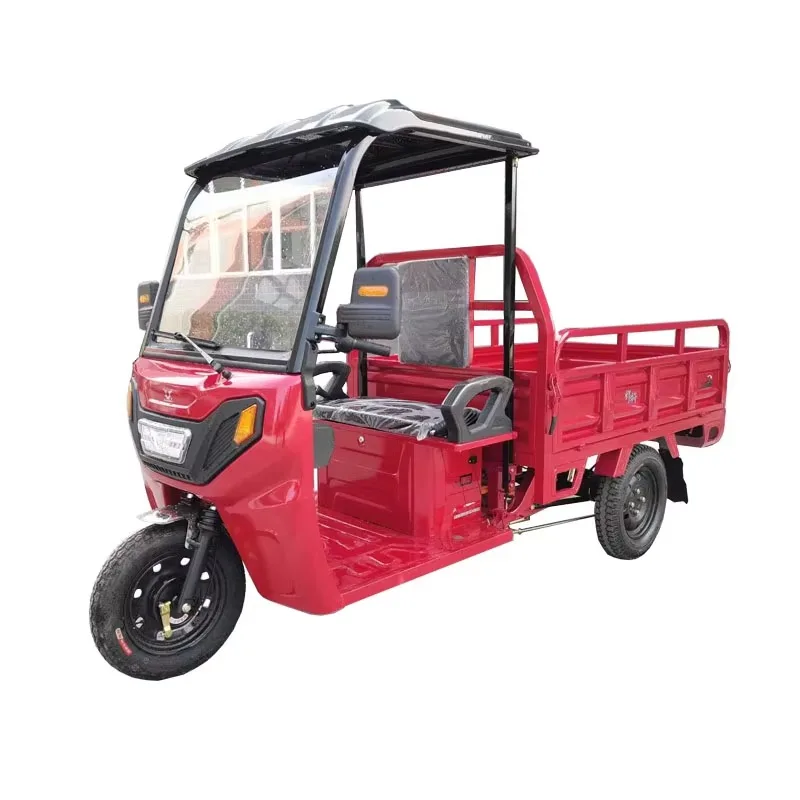 

New Arrival Economical Electric Cargo Tricycle for Adults Big Motor & Convenient Features