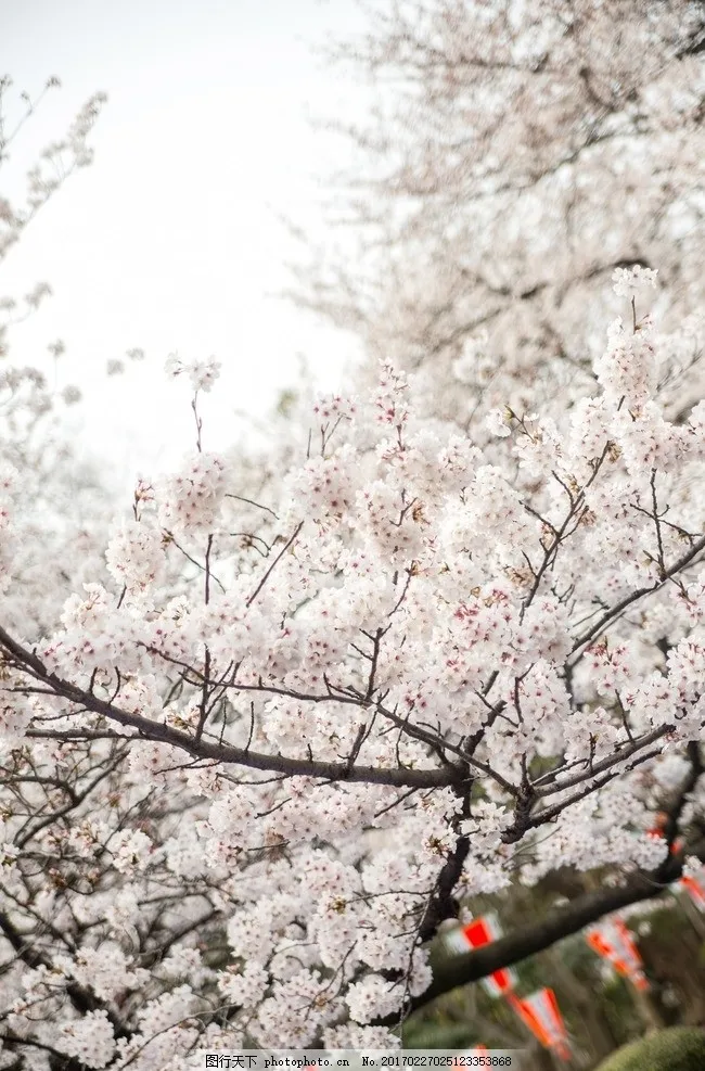 

Алюминиевый сплав, анодированный, полностью металлический передний и задний портальный мост с ЧПУ для 1/10 C8815 C8835 D888 H1, аксессуары для ретро-модернизации