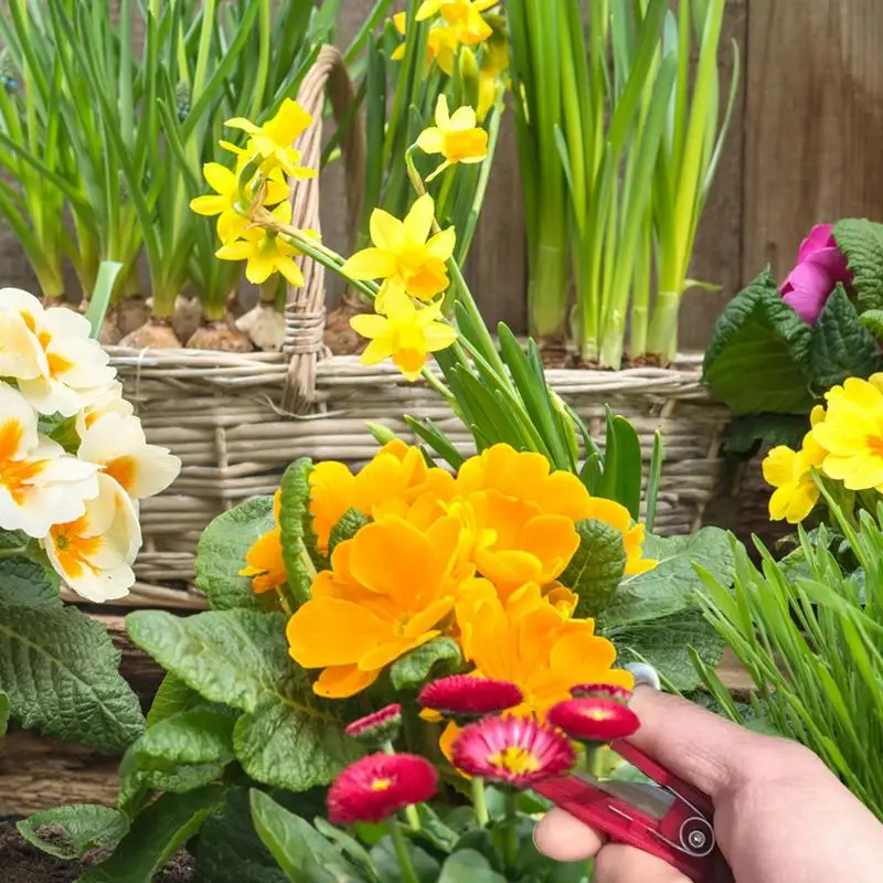 Gardening Thumb Pruner Finger Picking Cutter Pruner Thumb Knife Garden Picking GuillotineFarm Orchard Gardening Tools