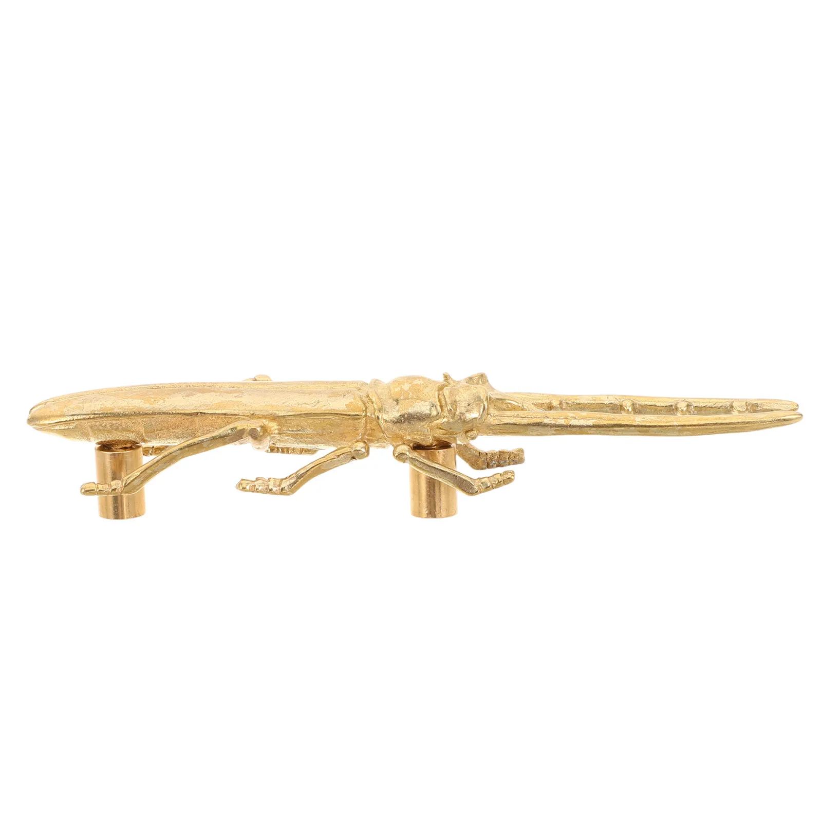 Brass Beetle Drawer Pull Handle Gold Lifelike Insect Decorative Knob Vintage Cabinet Hardware Accent Handle for Bedroom