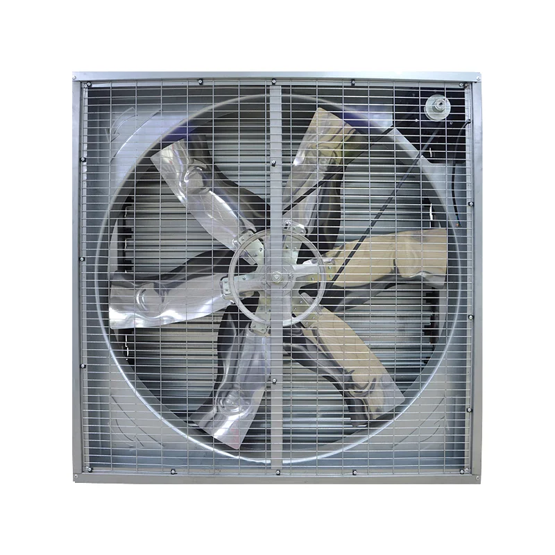Extractor de aire eléctrico con Control de temperatura, 380V, 600MM, 275g, marco SS430, hoja, rodamiento de bolas, gallinero, OEM